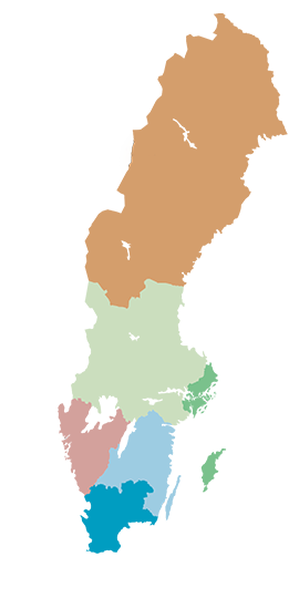 Sverigekarta med de sex sjukvårdsregionerna: Norra sjukvårdsregionen, Sjukvårdsregion Mellansverige, Stockholm-Gotlands sjukvårdsregion, Sydöstra sjukvårdsregionen, Västra sjukvårdsregionen och Södra sjukvårdsregionen.